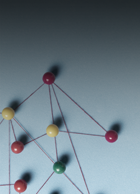 Attivazione stage semplificata per monitorare le diverse ragioni sociali di un gruppo.